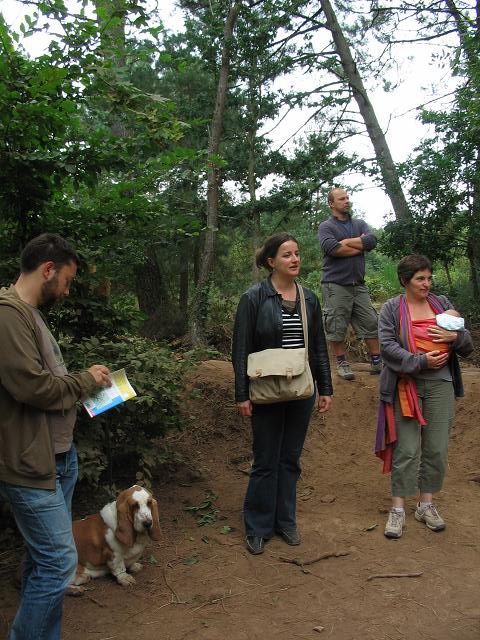 Au Tombeau de Merlin dans la foret de Broceliande